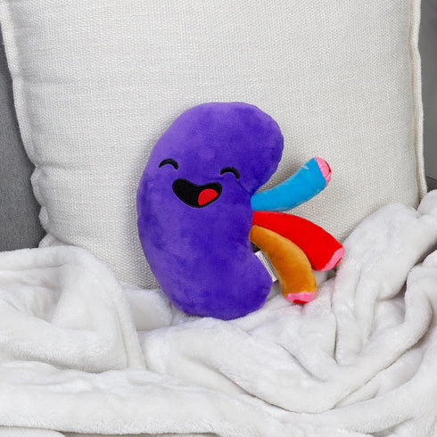 Plush Kidney Stuffed Body Organ Toy for Get Well Gift, Health Education and More