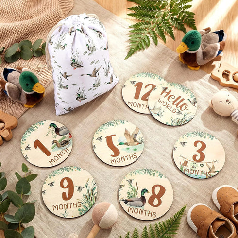 Novabright 7 Pack Mallard Duck Baby Shower Monthly Milestone Cards Signs Baby Announcement Sign Name Hello World
