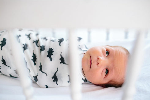Copper Pearl Premium Knit Baby Swaddle Blanket - Dinos Wild