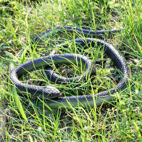 3-Pack Ultra-Realistic Rubber Snakes for Halloween Decorations, Large Fake Black Mamba Toy