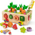 Coogam Montessori Fine Motor Toys for Baby Toddler, Wooden Shape Sorter Carrot