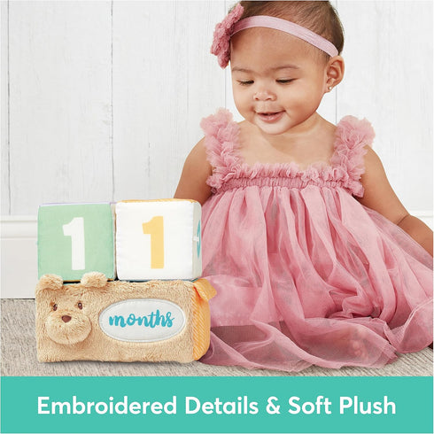GUND Baby Milestones and Moments Soft Blocks, Plush Photo Prop Sensory Toy Blocks for Babies and Newborns