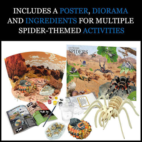 WILD ENVIRONMENTAL SCIENCE Extreme Spiders of the World - Create and Customize Models for Ages 6+