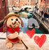 2 12 inches Singing Toy Puppy - Gondolomio | Animated Plush Italian Dog Sings Songs "O Sole Mio" and Elvis Hit "It's