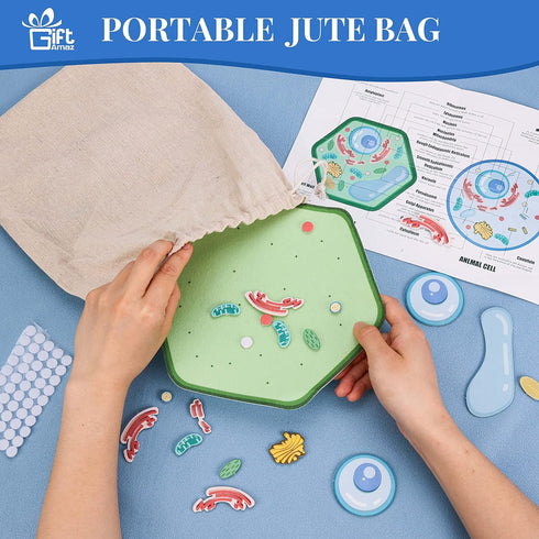 Animal and Plant Cell Anatomy Model, Soft Felt Toy for Early Cell Biology