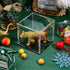 FINGERINSPIRE Clear Acrylic Display Case - 4x4x4 Inch Cube, Dustproof Protection Showcase for Action Figures