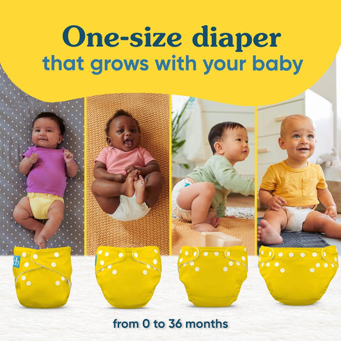 1 Pack Charlie Banana Cloth Diapers, Reusable, Washable, Adjustable One Size Diaper, for Babies and Toddlers