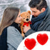 Voice Recorder for Stuffed Animals - 20 Seconds Sound Heartbeat Recorder Box, 4 Pcs (Red)