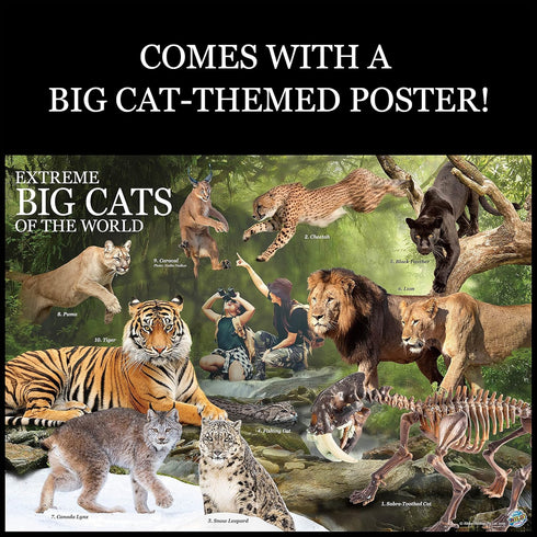 WILD ENVIRONMENTAL SCIENCE Extreme Big Cats of the World, Create and Customize Models and Dioramas for Ages 6+