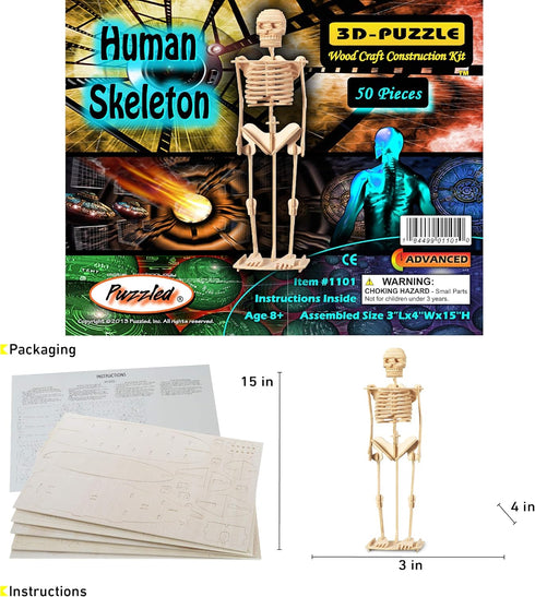 Puzzled 3D Puzzle Human Skeleton Wood Craft Model Kit, Fun DIY Wooden Toy for Decoration
