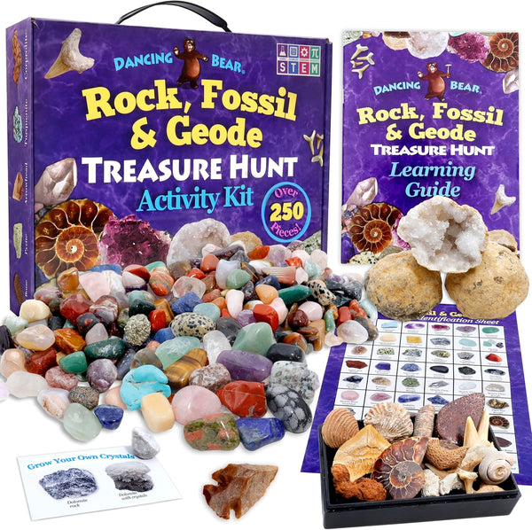 DANCING BEAR Rock, Mineral & Geodes Treasure Hunt Activity Kit (250 Pc