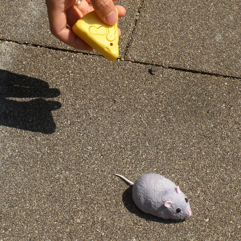 Tipmant Mini Sized RC Mice IR Remote Control Rat Mouse Animal Prank Joke Toys for Cat Dog Kids Christmas Gifts (Grey)