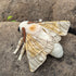 ZHONGXIN MADE Giant Silk Moth Plush - 26" Lifelike Stuffed Animal with Realistic Soft Big Wings