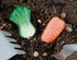 Yellow Door Vegetable Sensory Play Stones