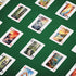 Underdog Games National Park Playing Cards, 52 Pieces of Stunning Custom Art for Unique Park Experience