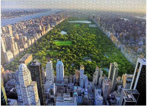 MyPuzzle 1000 Piece Jigsaw Puzzle - Aerial View of Central Park Manhattan New York for Adults