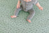 Soft Knit Crib Sheet/Toddler Sheet in Poe by Copper Pearl