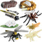 Gemini & Genius Life Cycle of Mosquito and Dragonfly Figurines, Insect Growth Diary Action Figures, Learning Gifts
