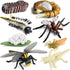 Gemini & Genius Life Cycle of Mosquito and Dragonfly Figurines, Insect Growth Diary Action Figures, Learning Gifts