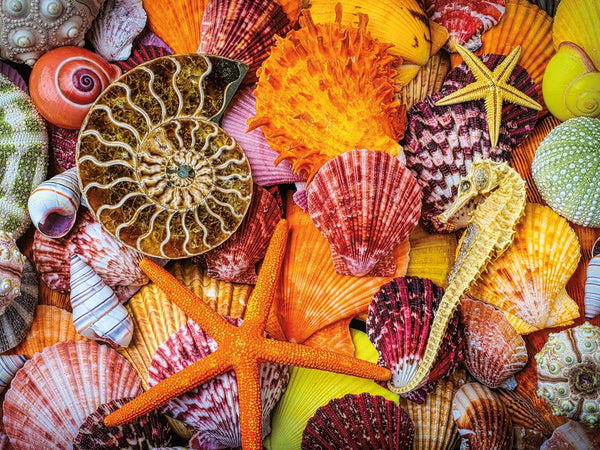 Ceaco 750 Piece Jigsaw Puzzle - Sensory - Starfish and Shells