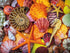 Ceaco 750 Piece Jigsaw Puzzle - Sensory - Starfish and Shells