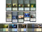 Elite Wall Assault Deck - Green Blue White, Modern Legal Custom Built, Magic The Gathering, 60 Card