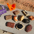 Ammonite, 3+ Safari Ltd. Ancient Fossils TOOB - Figurines: Dino Footprint, Giant Crab, Raptor Claw, T-Rex Tooth, Frog