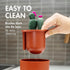 Boon Set 4 Count Lawn Baby Bottle Drying Rack Bundle - Includes Twig and Stem Accessories - with Cacti Bottle Brush