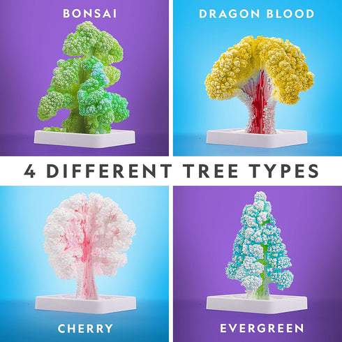 Kids Crystal Growing Kit, Grow 6 Crystal Trees in 6 Hours, Educational STEM Craft Kit with Art Supplies