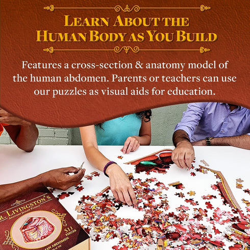Genius Games Human Abdomen Anatomy Jigsaw Puzzle - Unique Shaped Science Puzzles with Accurate Illustrations