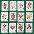 54 Underdog Games Bird in The Hand Themed Playing Cards | Pieces of Stunning Custom Art | Unique Bird on Every Card