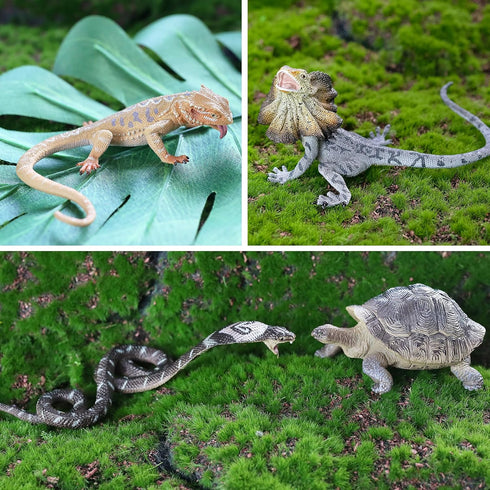 Toymany 12PCS Reptile Animal Figurine Toys Set: Cold Blooded Amphibians, Desert Animal Figures, Gift Party Favor