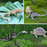 Toymany 12PCS Reptile Animal Figurine Toys Set: Cold Blooded Amphibians, Desert Animal Figures, Gift Party Favor