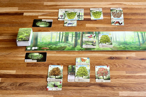 10+, 2-5 60 Packaging Lookout Games Forest Shuffle Card Game - Create an Ecological Paradise! Clever Strategy Game