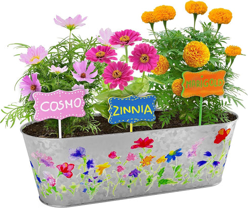 Paint & Plant Flower Growing Kit for Kids - Birthday Crafts Gifts for Girls & Boys Age 5-12, Fun Gardening Kits