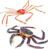 Set, Gemini&Genius King Crab and Spider Crab Toys Marine Animals Toys Sea Animal Action Figures Gift Great