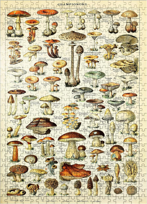 MyPuzzle Champignons - Mushrooms for All, Vintage Art Poster, Adolphe Millot -