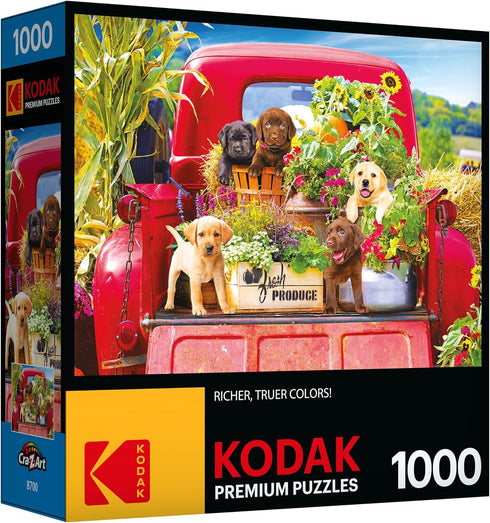 RoseArt - Kodak Premium - Stowaways - 1000 Piece Jigsaw Puzzle for Adults