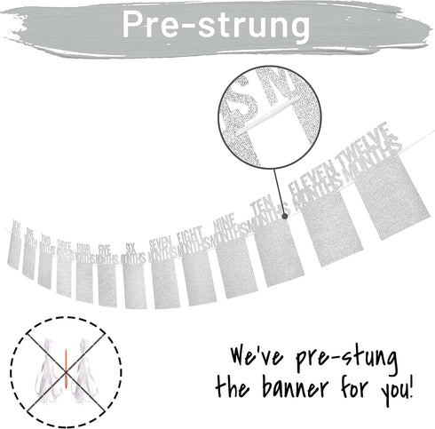 PartyHooman 1st Birthday Photo Banner for Baby, First Birthday Decorations Girl, Monthly Milestones Garland, Silver
