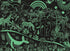 Ceaco - Glow in The Dark - Jungle, Sea & Sky - 100 Piece Jigsaw Puzzle