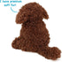 12 Inch TigerHart Laurel The Labradoodle - Stuffed Animal Plush