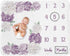 Sweet Jojo Designs Lavender Purple Boho Shabby Chic Floral Girl Baby Milestone