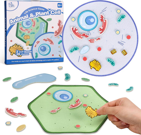 Animal and Plant Cell Anatomy Model, Soft Felt Toy for Early Cell Biology