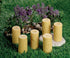 Yellow Door Let's Roll,Garden Bugs, Set of 6