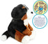 VIAHART Bastien The Bernese Mountain Dog, 13 Inch Stuffed Animal Plush by TigerHart Toys