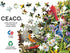 Ceaco - Space Saver - Garden Birds - 300 Piece Jigsaw Puzzle