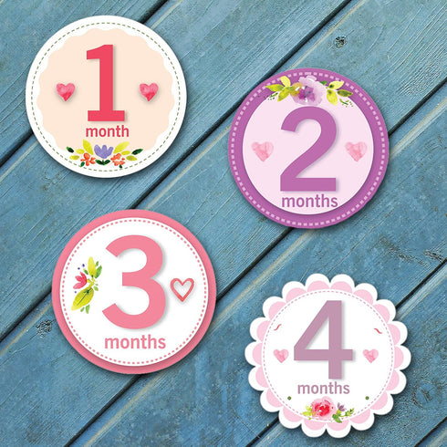 Baby Monthly Milestone Stickers for Girls, Floral Designs with Holiday Themes, First Year