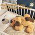 Floppy Stuffed Dog Puppy Plush Toy, 20 inch Huggable Beagle Labrador Retriever Stuffed Animal for Kids