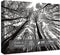 Impossible Puzzle 1000 Piece, Challenging Difficult Jigsaw Puzzles for Adults