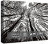 Impossible Puzzle 1000 Piece, Challenging Difficult Jigsaw Puzzles for Adults